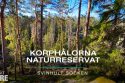 Korphålorna Naturreservat | VISIT YDRE