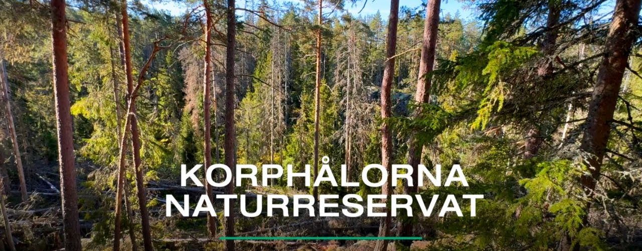 Korphålorna Naturreservat | VISIT YDRE