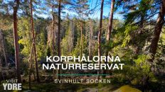 Korphålorna Naturreservat | VISIT YDRE