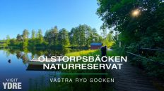 Olstorpsbäcken naturreservat | VISIT YDRE