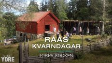 Råås Kvarndagar, Råås Kvarn, Ydre | VISIT YDRE