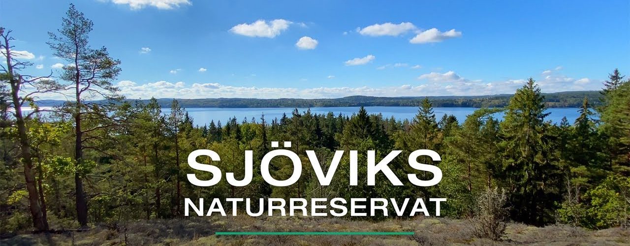 Sjöviks Naturreservat, Norra Vi Socken, Ydre, Östergötland | VISIT YDRE