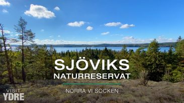 Sjöviks Naturreservat, Norra Vi Socken, Ydre, Östergötland | VISIT YDRE