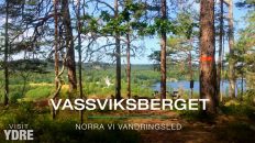 Vassviksberget, Norra Vi vandringsled, Östgötaleden Ydre | VISIT YDRE