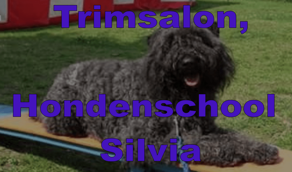 Trimsalon, Hondenschool Silvia