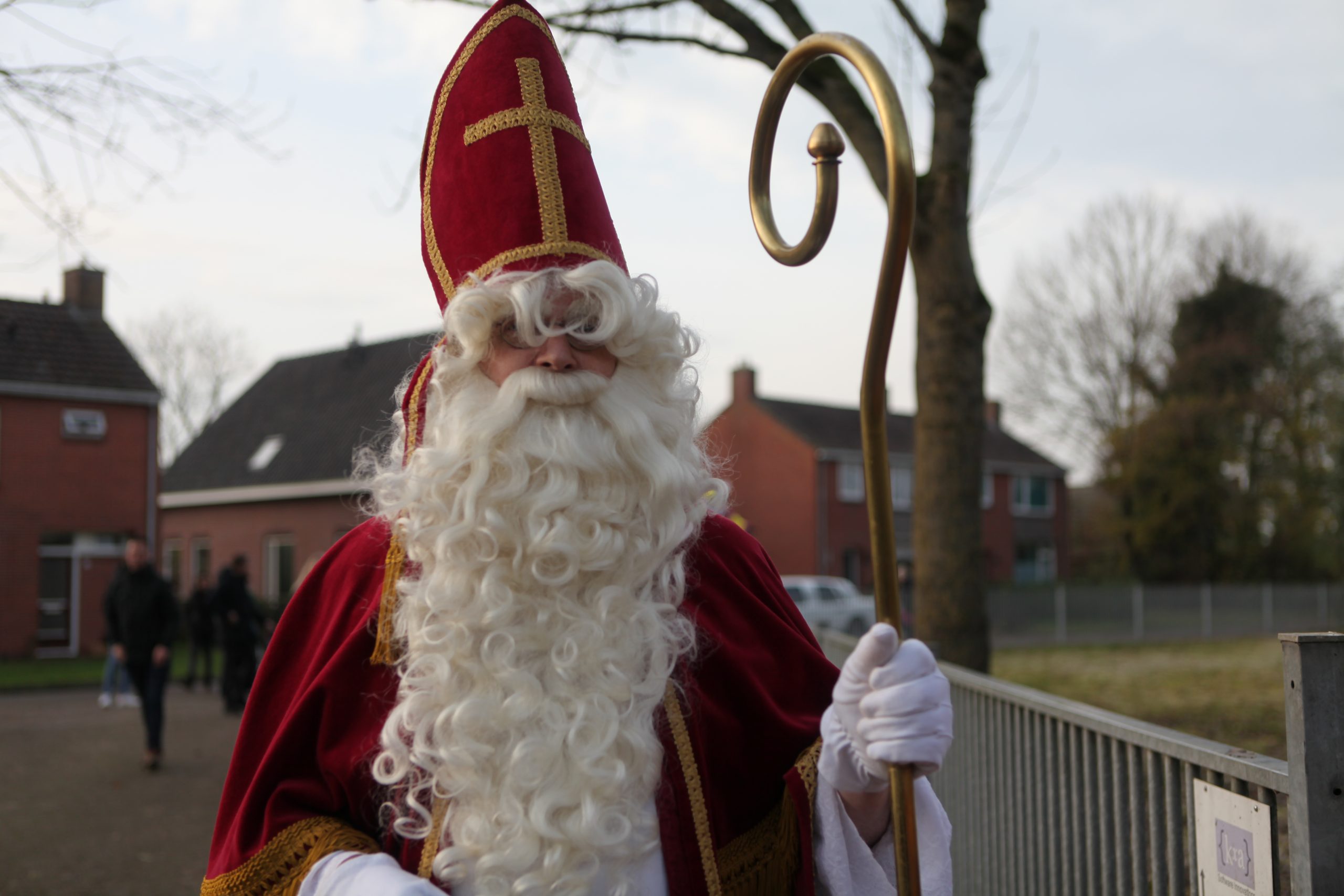 Sinterklaas in Visvliet.