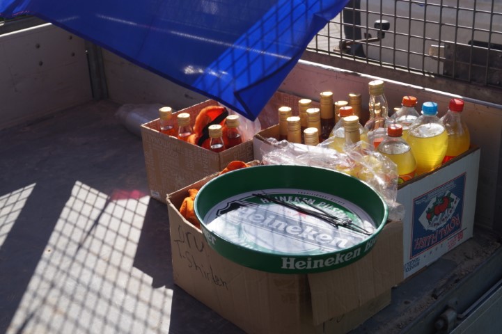 Koningsdag in Visvliet.