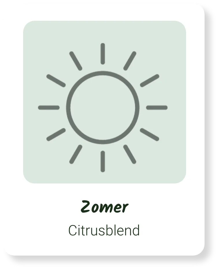 Zomergeur