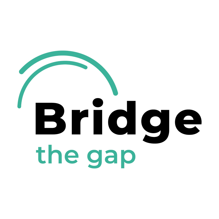 bridge-logo