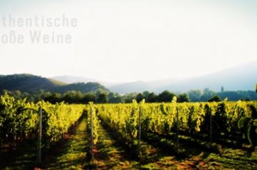 Wijnen uit de Nahe (Duitsland)
