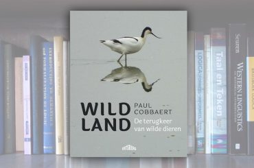 WILD LAND – De terugkeer van wilde dieren