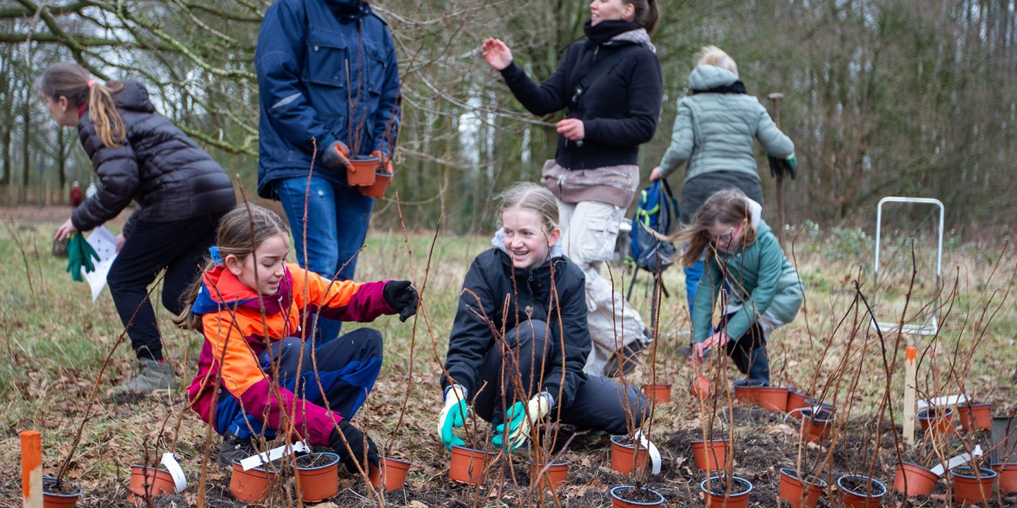 Eerste plantdag