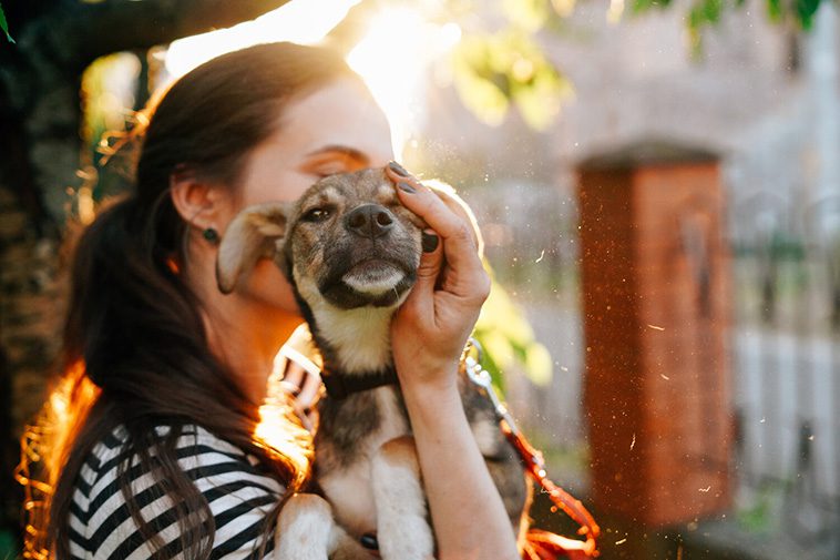 Fördelarna med att adoptera en hund från ett djurhem:
Emotionell belöning.