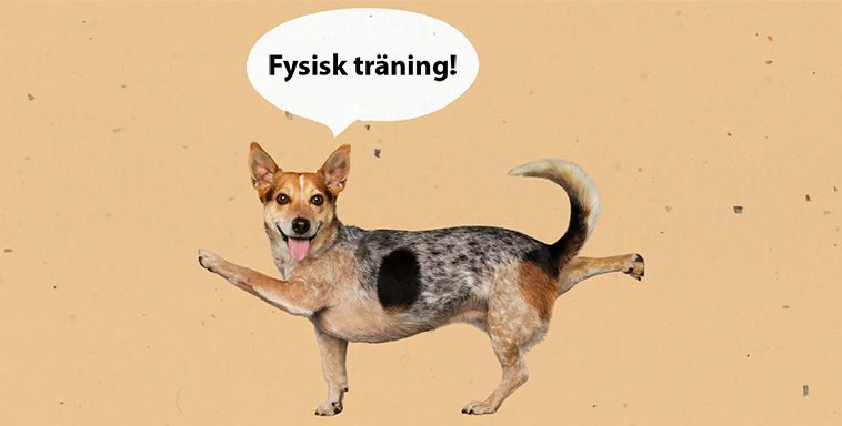 Risker med för mycket eller för lite träning