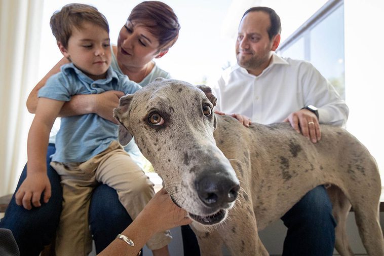Så förbereder du din hund för att träffa nya människor och barn:
Hantera osäkerhet och rädsla