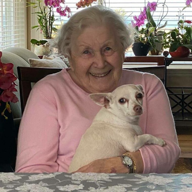 En blyg äldre hund väntade på en andra chans på djurhemmet och blev ofta förbisedd och hade börjat att förlora hoppet