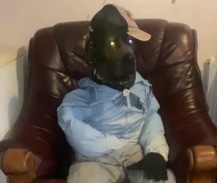 Möt Mist: Cane Corson som drar in tusentals på sina humoristiska bilder och filmer