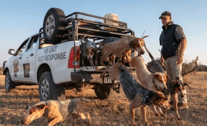 Träningen påbörjas tidigt och leder till operativa hundar som gör skillnad