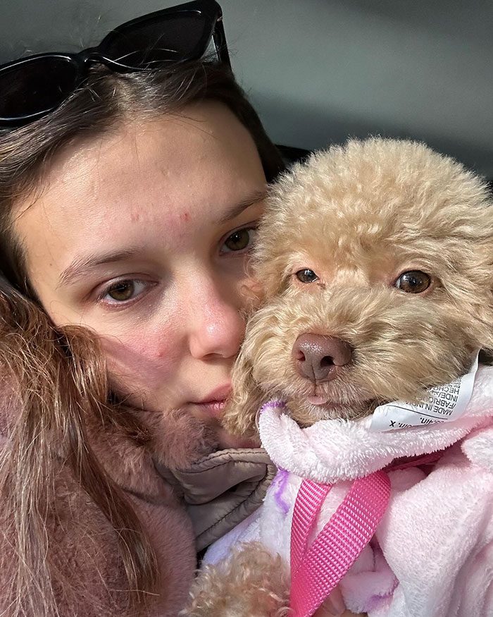 “Det är inte okej!”: Millie Bobby Browns fans starka åsikter om hennes hunds "diaboliska" nya frisyr