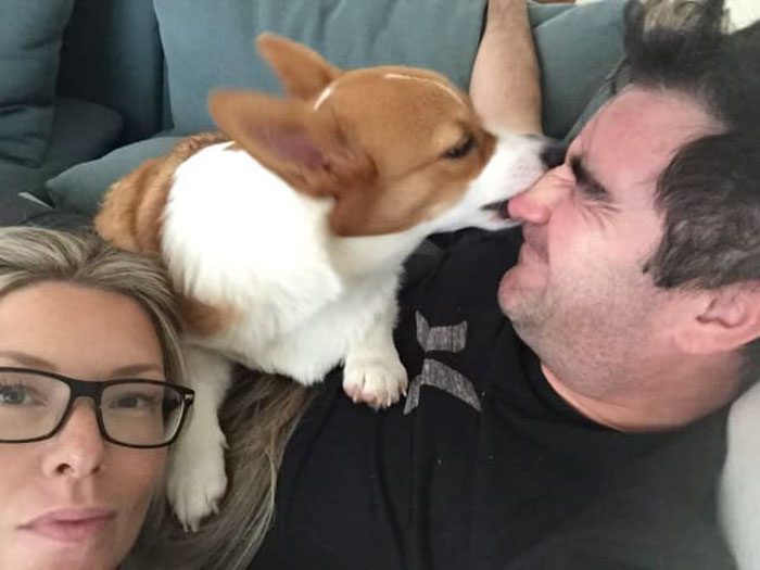 26 av de bästa bilderna från Facebookgruppen "Missnöjda Corgis"