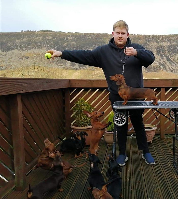 Tonåring lyckades ta det perfekta fotot av sina 16 taxar efter att en vän sagt att det var omöjligt