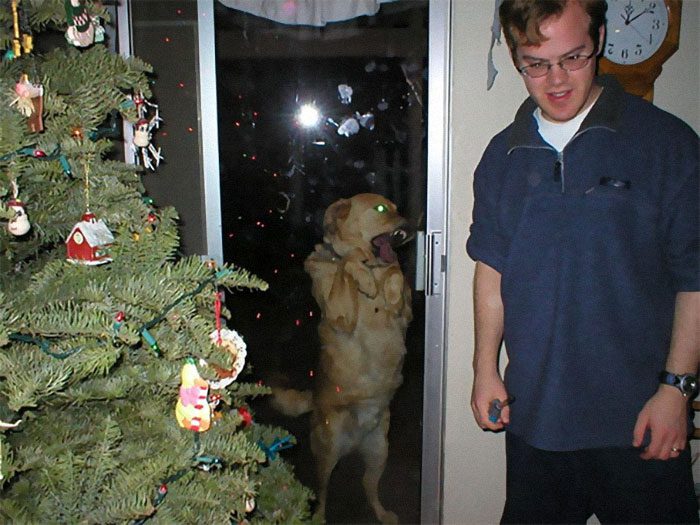 18 julbilder som var tänkta att vara fina – tills hunden dök upp