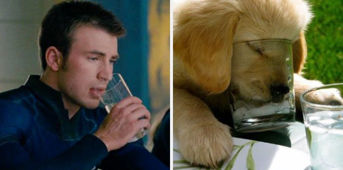 Här är Twitter-kontot som försöker bevisa att Chris Evans egentligen är en Golden Retriever