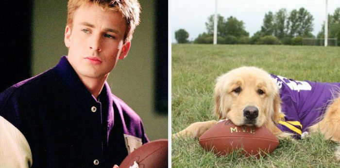 Här är Twitter-kontot som försöker bevisa att Chris Evans egentligen är en Golden Retriever