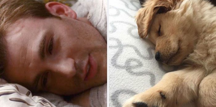 Här är Twitter-kontot som försöker bevisa att Chris Evans egentligen är en Golden Retriever