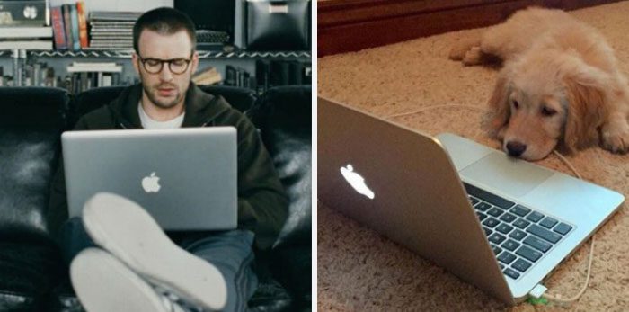 Här är Twitter-kontot som försöker bevisa att Chris Evans egentligen är en Golden Retriever
