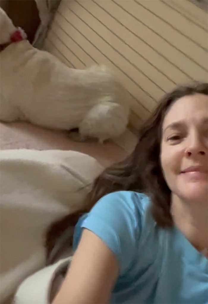 Drew Barrymore kan inte tänka sig ett liv utan sina 9 husdjur: "En kärlek som är så djup"