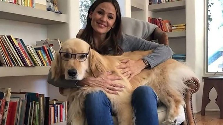 Jennifer Garner Golden Retriever gick bort i storhelgen: "Hjärtat är krossat"