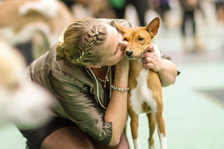 Dags för årets stora hundfest: Stockholm Hundmässa 2024