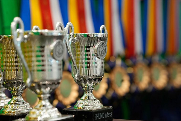 Dags för årets stora hundfest: Stockholm Hundmässa 2024