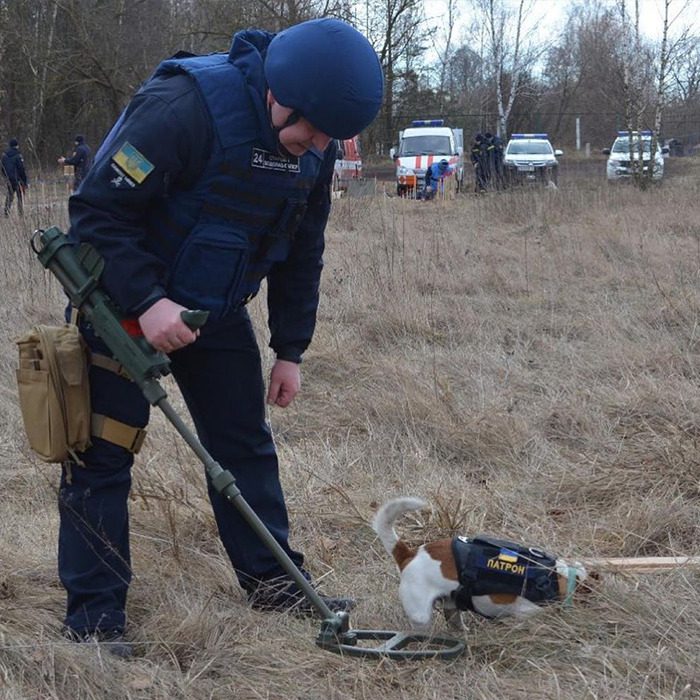 Hjältehunden Patron hyllas av Zelensky – sniffade upp över 250 bomber
