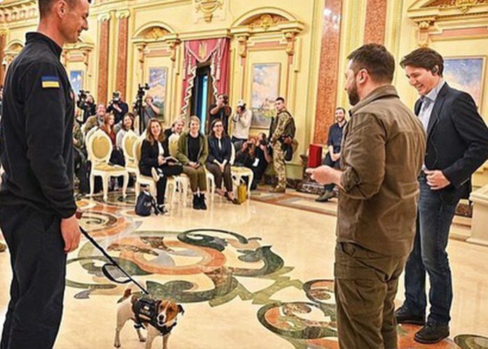 Hjältehunden Patron hyllas av Zelensky – sniffade upp över 250 bomber