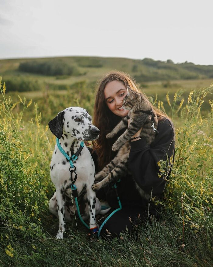 Kvinna låter sin Dalmatiner behålla en fosterkatt – och det blev den vackraste vänskapen
