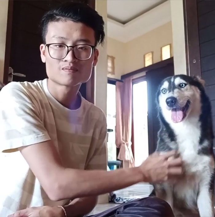 Huskyhunden hittades så undernärd att hon såg ut som ett skelett – 10 månader senare är hon oigenkännlig