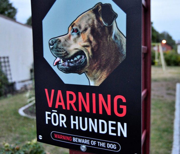 Arg granne kritiserade hundskylt – fick genialiska svar på Flashback