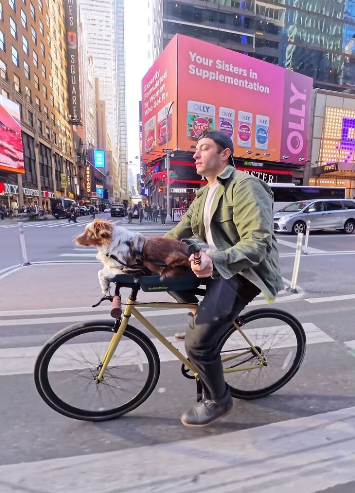 Kaido: Den lilla MAS:en som charmar hela New York med sitt ylande