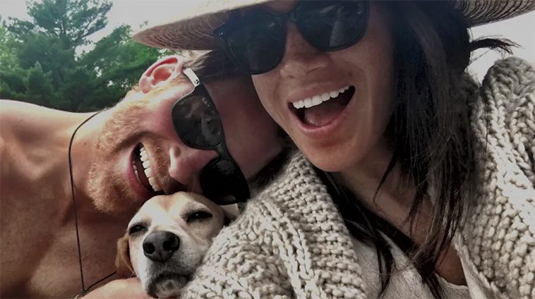 Meghan Markle och Prins Harry förkrossade efter sin hunds bortgång
