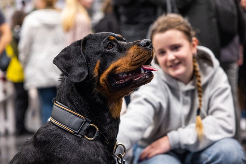 MyDOG bjuder in till en helg full av aktiviteter och spänning i Göteborg