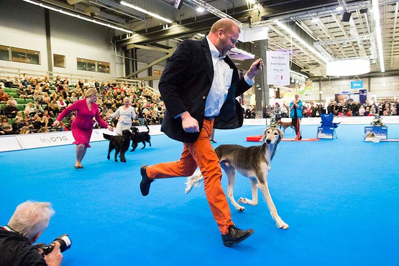 MyDOG bjuder in till en helg full av aktiviteter och spänning i Göteborg
