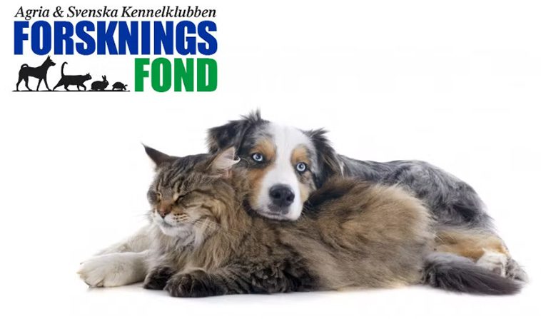 Agria och SKK Forskningsfond satsar 8,3 miljoner på djurforskning