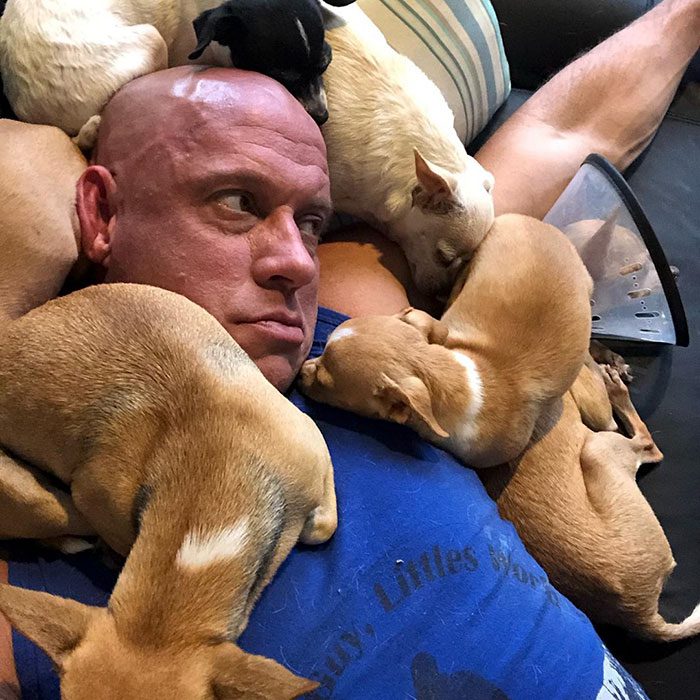 Bodybuildern retade andra för sina små hundar – tills en Chihuahua räddade honom och förändrade allt