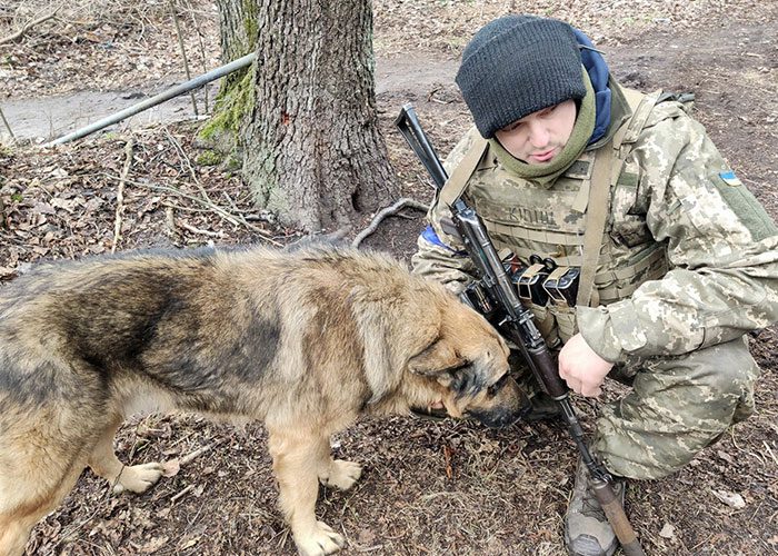 Militärhund övergiven av ryska trupper – får nytt hem hos den ukrainska armén