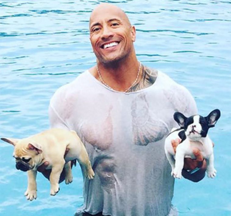 Dwayne "The Rock" Johnson i sorg efter Franska Bulldoggen Hobbs bortgång