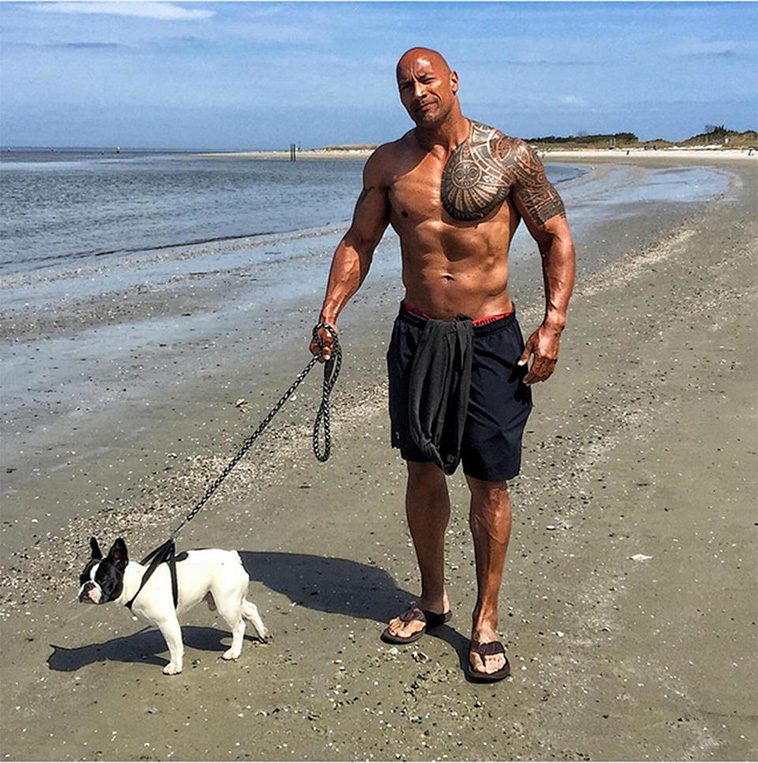 Dwayne "The Rock" Johnson i sorg efter Franska Bulldoggen Hobbs bortgång