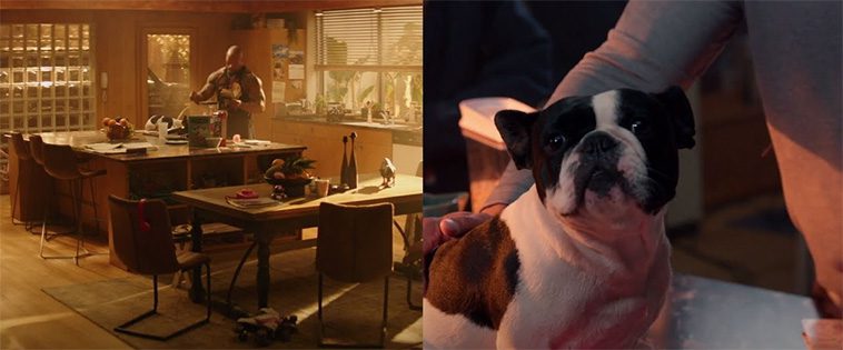 Dwayne "The Rock" Johnson i sorg efter Franska Bulldoggen Hobbs bortgång
