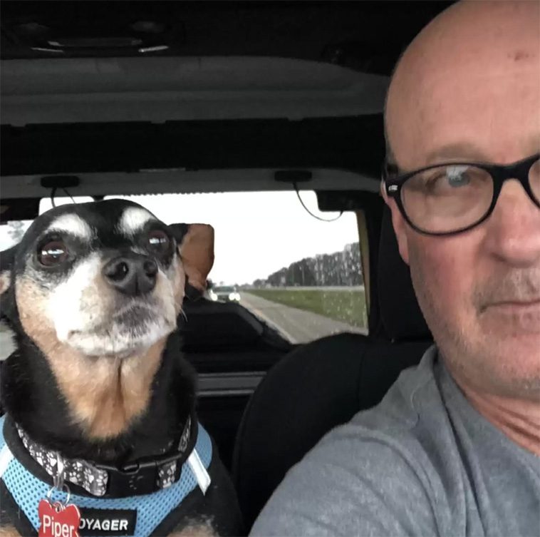 Lurig hund fejkar skada för godis – men får smaka på sin egen medicin
